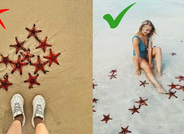 khach-san-que-toi-soc-trang-Bãi Sao không chỉ nổi tiếng bởi làn nước xanh ngọc mà còn nhờ sự xuất hiện của những chú sao biển rực rỡ sắc màu. Chính vẻ đẹp độc đáo ấy đã thu hút rất nhiều du khách, đặc biệt là giới trẻ, đến đây để lưu giữ những khoảnh khắc “triệu like”. Tuy nhiên, việc cầm sao biển lên tay hay đưa chúng lên bờ để chụp ảnh vô tình lại gây tổn thương nghiêm trọng cho loài sinh vật nhạy cảm này. Hệ thần kinh của sao biển phân bố khắp các cánh tay, khiến chúng cực kỳ dễ bị tổn thương khi bị đưa khỏi môi trường nước. mot-so-luu-y-khi-di-chup-hinh-cung-sao-bien Một số lưu ý khi đi chụp hình cùng sao biển Thay vì tương tác trực tiếp, bạn hoàn toàn có thể chọn những cách chụp ảnh văn minh, vẫn đẹp lung linh mà lại góp phần bảo vệ sự sống mong manh của sao biển. Dưới đây là một vài gợi ý sáng tạo: Chụp bàn chân cùng sao biển Hãy ngồi thư giãn trên bãi cát, nhẹ nhàng thả chân xuống làn nước trong vắt, nơi những chú sao biển nằm yên tĩnh dưới đáy. Một bức ảnh tự nhiên với ánh sáng rực rỡ sẽ mang lại cảm giác thơ mộng và gần gũi với thiên nhiên. bai-sao-phu-quoc-nu-cuoi-me-kong-chup-ban-chan-cung-sao-bien Chụp bàn chân cùng sao biển Chụp ngâm mình dưới làn nước cùng sao biển Việc bạn hòa mình vào làn nước mát lạnh, để sao biển ở xung quanh cũng là một cách tuyệt vời để ghi lại khoảnh khắc độc đáo. Đây là hành động thể hiện sự tôn trọng với thiên nhiên – một phong cách du lịch hiện đại, văn minh và đầy ý thức. chup-ngam-minh-duoi-lan-nuoc-cung-sao-bien Chụp ngâm mình dưới làn nước cùng sao biển Chụp riêng sao biển Nếu bạn yêu thích nghệ thuật nhiếp ảnh, hãy tận dụng ánh sáng tự nhiên và làn nước trong vắt để chụp cận cảnh sao biển ngay dưới mặt nước. Những bức ảnh như thế không chỉ đẹp một cách tự nhiên mà còn mang đậm dấu ấn bảo tồn sinh thái. bai-sao-phu-quoc-nu-cuoi-me-kong-chup-rieng-sao-bien Chụp riêng sao biển