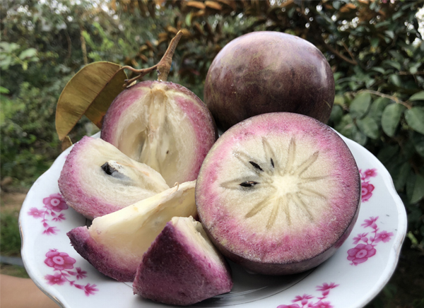 khach-san-que-toi-soc-trang-nhung-mon-an-dac-san-ngon-tai-soc-trang